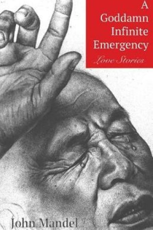 Cover of A Goddamn Infinite Emergency