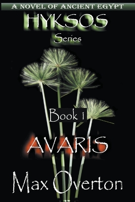 Book cover for Avaris