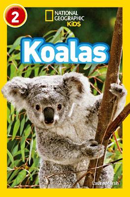 Book cover for Koalas