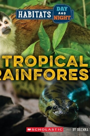 Cover of Tropical Rainforest (Wild World: Habitats Day and Night)