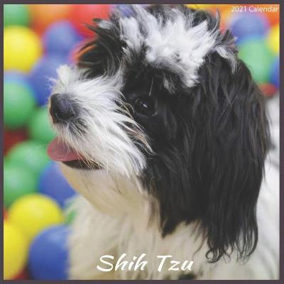 Book cover for Shih Tzu 2021 Calendar