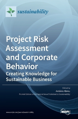 Cover of Project Risk Assessment and Corporate Behavior