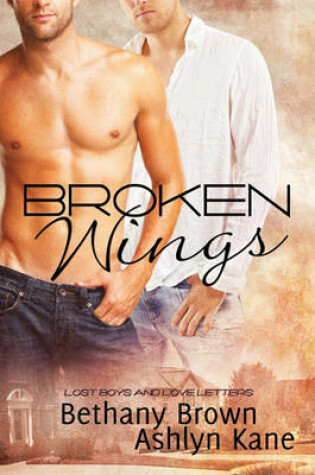 Cover of Broken Wings