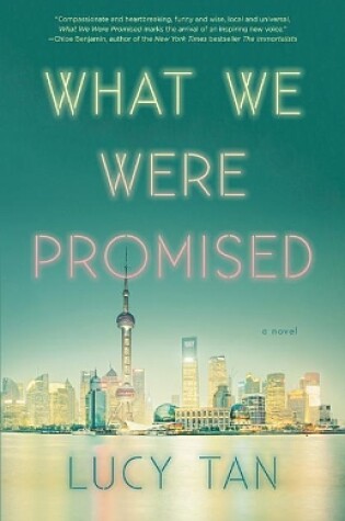 Cover of What We Were Promised