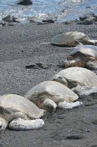 Cover of Jumbo Oversized a Row of Sea Turtles on the Beach