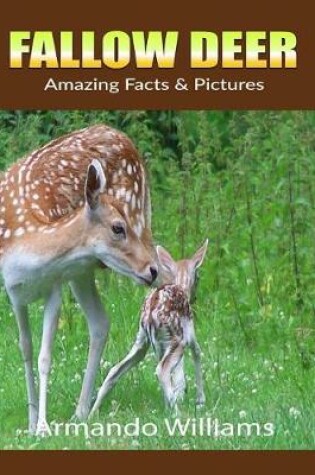 Cover of Fallow Deer