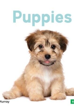 Cover of Puppies