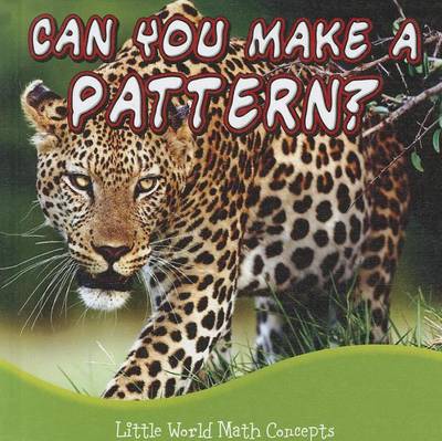 Cover of Can You Make a Pattern?