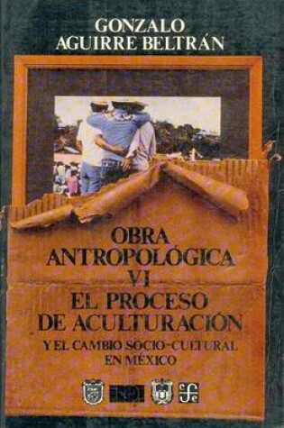 Cover of Obra Antropolgica, VI