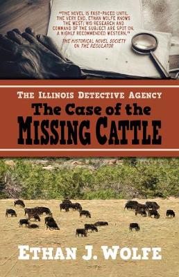 Book cover for The Illinois Detective Agency