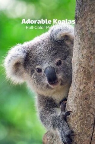 Cover of Adorable Little Koalas Full-Color Picture Book