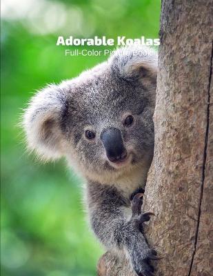 Book cover for Adorable Little Koalas Full-Color Picture Book