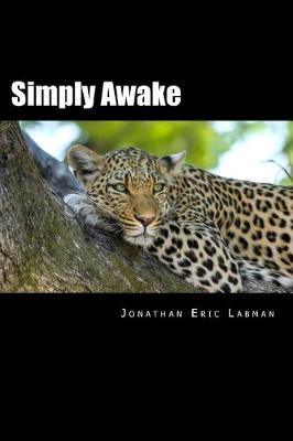 Book cover for Simply Awake