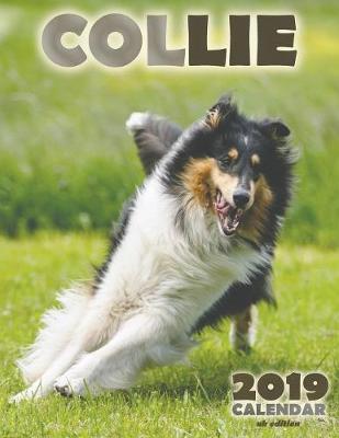 Book cover for Collie 2019 Calendar (UK Edition)