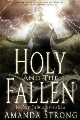 Cover of Holy and the Fallen
