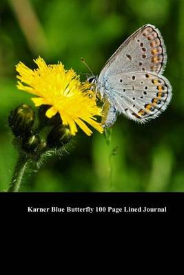 Book cover for Karner Blue Butterfly 100 Page Lined Journal