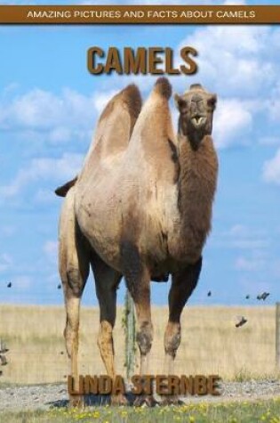 Cover of Camels