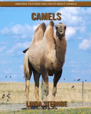 Book cover for Camels