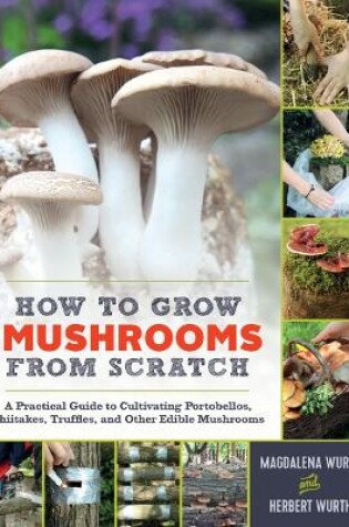 Cover of How to Grow Mushrooms from Scratch