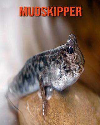 Book cover for Mudskipper