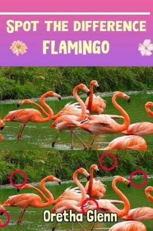Cover of Spot the difference Flamingo