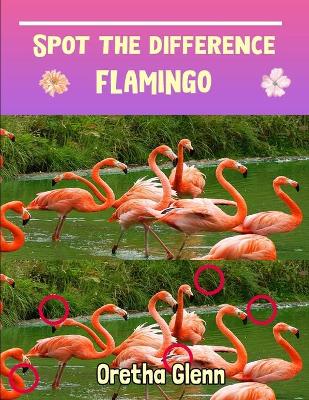 Book cover for Spot the difference Flamingo
