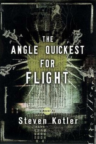 Cover of The Angle Quickest for Flight