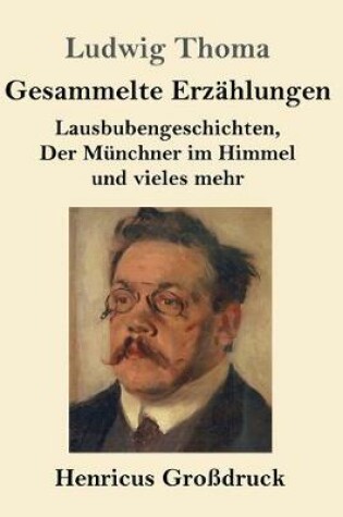 Cover of Gesammelte Erzählungen (Großdruck)