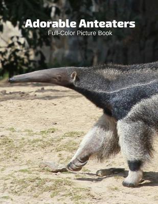 Book cover for Adorable Anteaters Full-Color Picture Book
