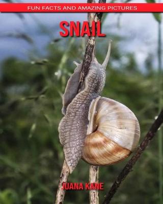 Book cover for Snail