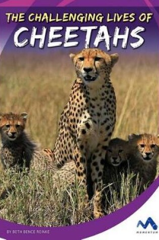 Cover of The Challenging Lives of Cheetahs