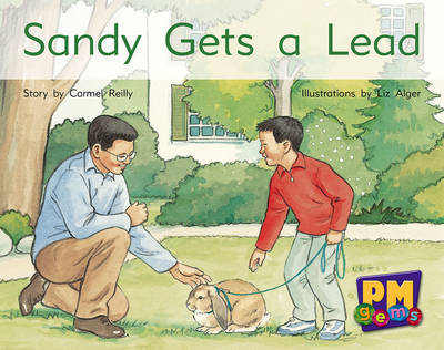 Book cover for Sandy Gets a Lead