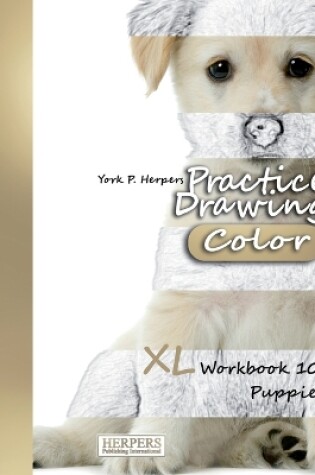 Cover of Practice Drawing [Color] - XL Workbook 10