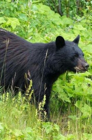 Cover of Black Bear Looking for Dinner Journal