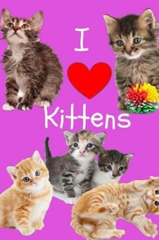 Cover of I Love Kittens