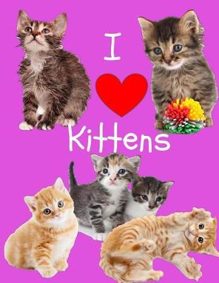 Cover of I Love Kittens