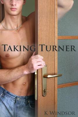 Book cover for Taking Turner