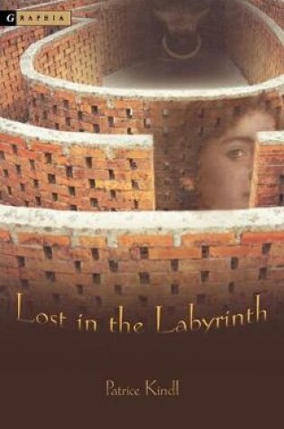 Cover of Lost in the Labyrinth