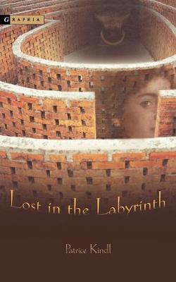 Book cover for Lost in the Labyrinth