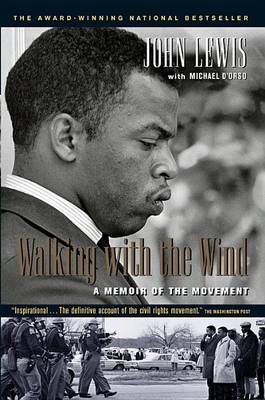 Book cover for Walking with the Wind