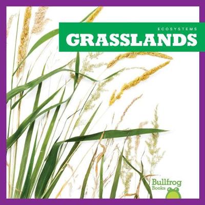 Book cover for Grasslands