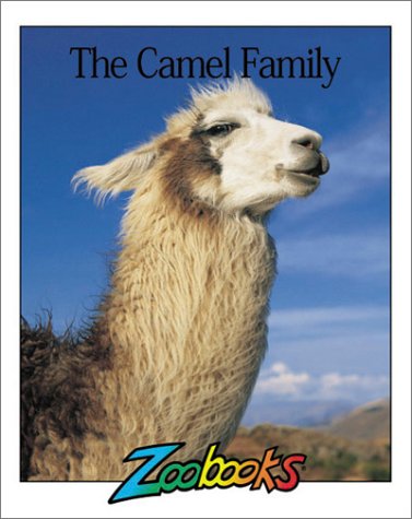 Book cover for Camels