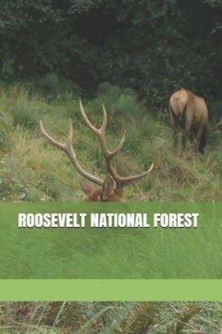 Cover of Roosevelt National Forest