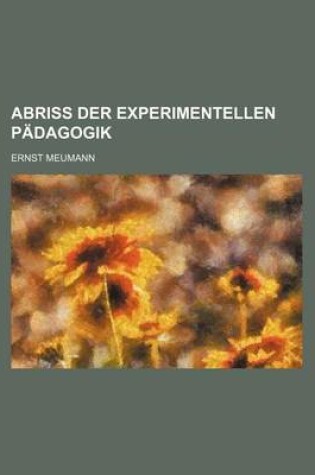 Cover of Abriss Der Experimentellen Padagogik