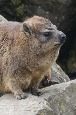 Book cover for Super Cute Procavia Capensis Cape Hyrax on the Lookout Rock Journal