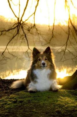 Book cover for Sweet Sheltie Dog at the Lake Journal