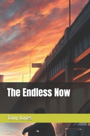 Cover of The Endless Now