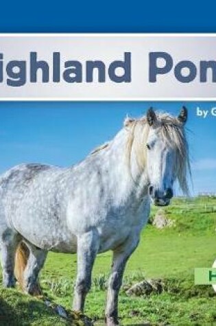 Cover of Highland Ponies