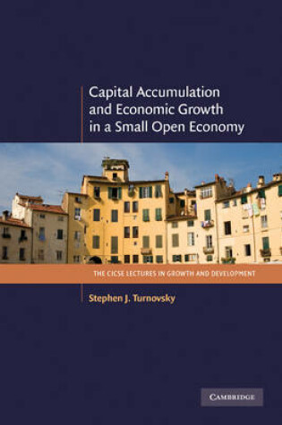 Cover of Capital Accumulation and Economic Growth in a Small Open Economy