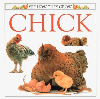 Cover of Chick